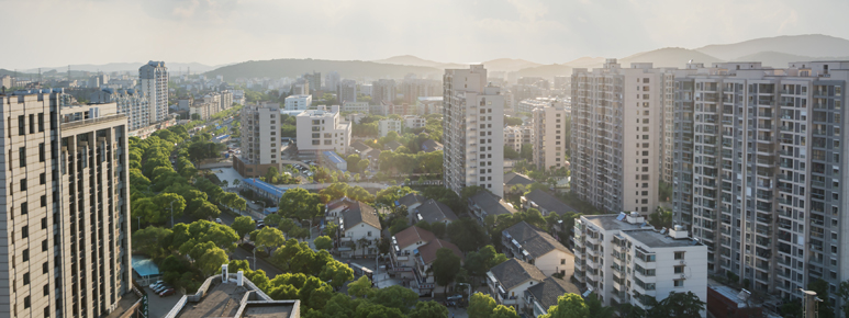 תמונה בגלריה