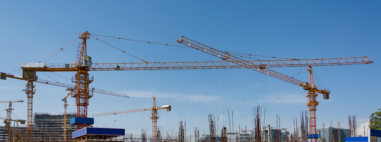 תמונה בגלריה